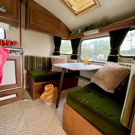 אתר קמפינג Woodstock Ewijk